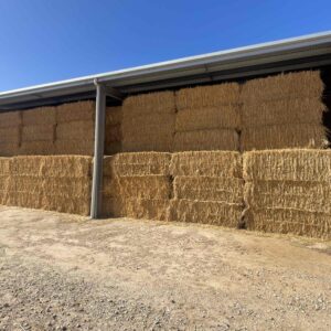 Oaten Hay - Big Squares - Lot#93817