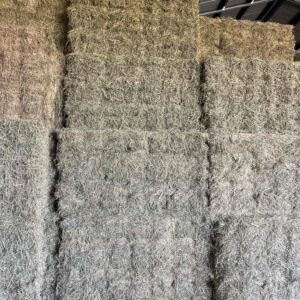 Rhodes Grass - Small Square Barons - #95932