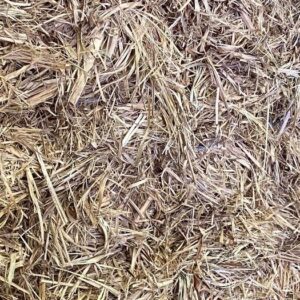 Sugar Cane Mulch - Small Squares - COMING SOON