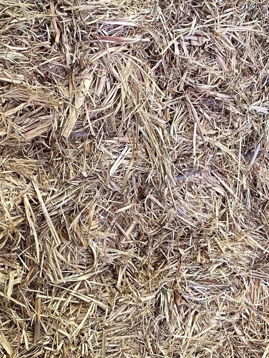 Sugar Cane Mulch - Small Squares - COMING SOON