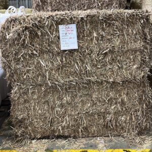 Sugar Cane Mulch - Large Squares 6x4x3 - COMING SOON