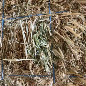 Barley Hay - Lot #91058