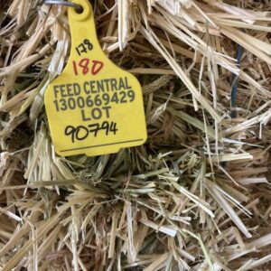 Farm 4 Barley Small Sq #90794 - Barley Hay