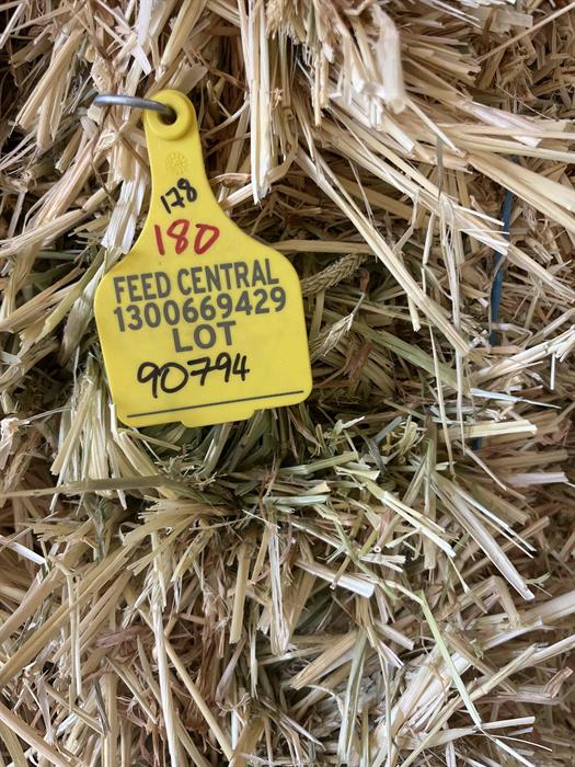 Farm 4 Barley Small Sq #90794 - Barley Hay
